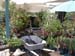 2005fairgarden011