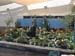 2005fairgarden012