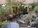 2005fairgarden015