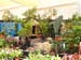 2005fairgarden018