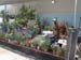 2005fairgarden023