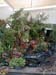 2005fairgarden026