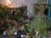 2005fairgarden028