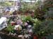 2005fairgarden029