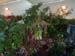 2005fairgarden032