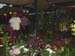 2005fairgarden037