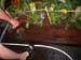 2005fairgarden040