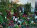 2005fairgarden046
