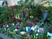 2005fairgarden047