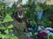 2005fairgarden048
