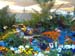 2005fairgarden050