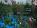2005fairgarden053