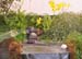 2005fairgarden094