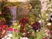 2005fairgarden095