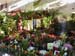 2005fairgarden100