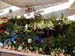 2005fairgarden102