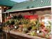 2005fairgarden104