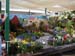 2005fairgarden106