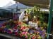 2005fairgarden107
