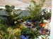 2005fairgarden108