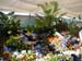 2005fairgarden109