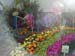 2005fairgarden113