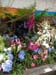 2005fairgarden116