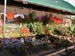 2005fairgarden118