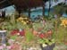 2005fairgarden126