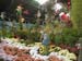 2005fairgarden135