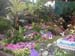 2005fairgarden139