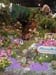 2005fairgarden140