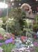 2005fairgarden141