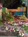 2005fairgarden143