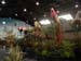 2005fairgarden144