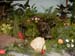 2005fairgarden145