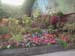 2005fairgarden148