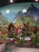 2005fairgarden155