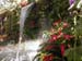 2005fairgarden156