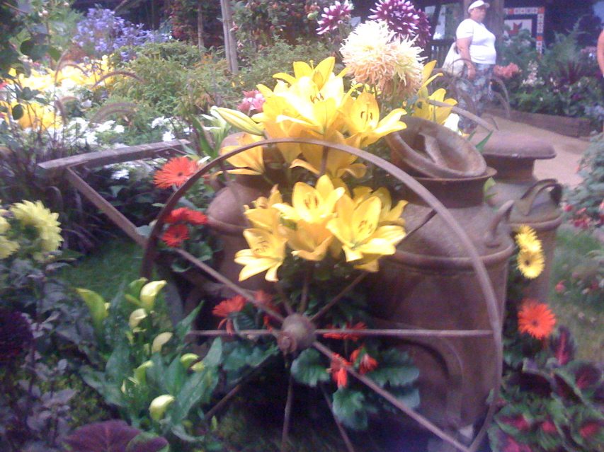 Fri, 25 Jul, 2008