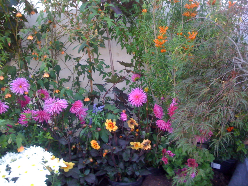 Tue, 15 Jul, 2008