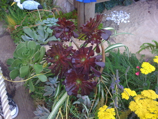 Mon, 21 Jul, 2008