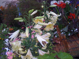 Mon, 21 Jul, 2008