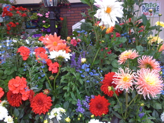 Mon, 21 Jul, 2008
