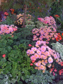 Tue, 15 Jul, 2008