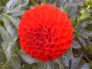 Thu, 10 Jul, 2008